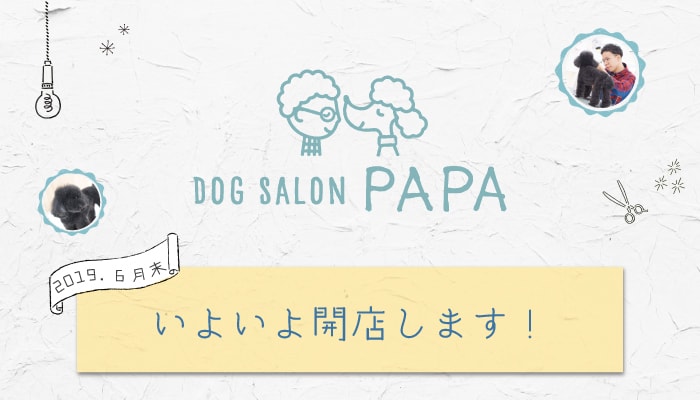 Dog Salon PAPA　６月末いよいよ回転します。
